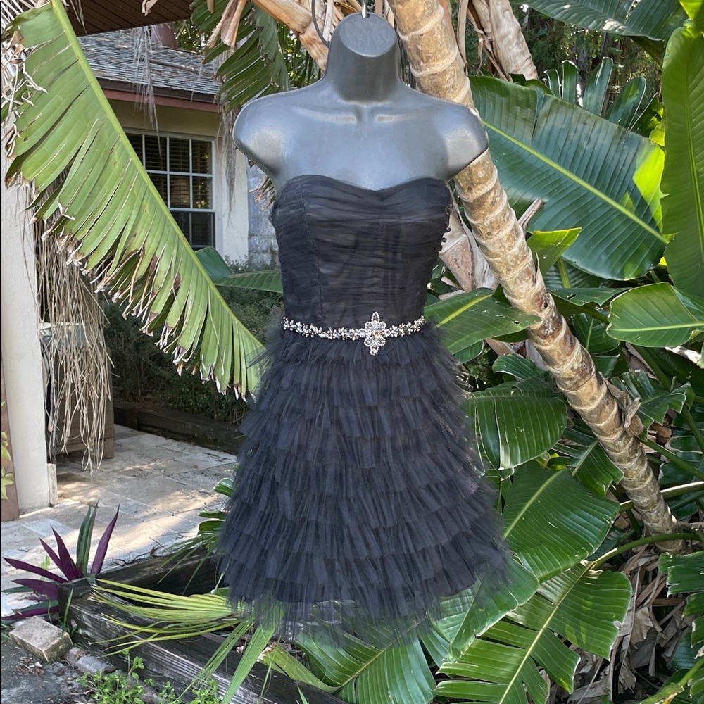 strapless tulle , ruffle, jeweled, ballerina dress